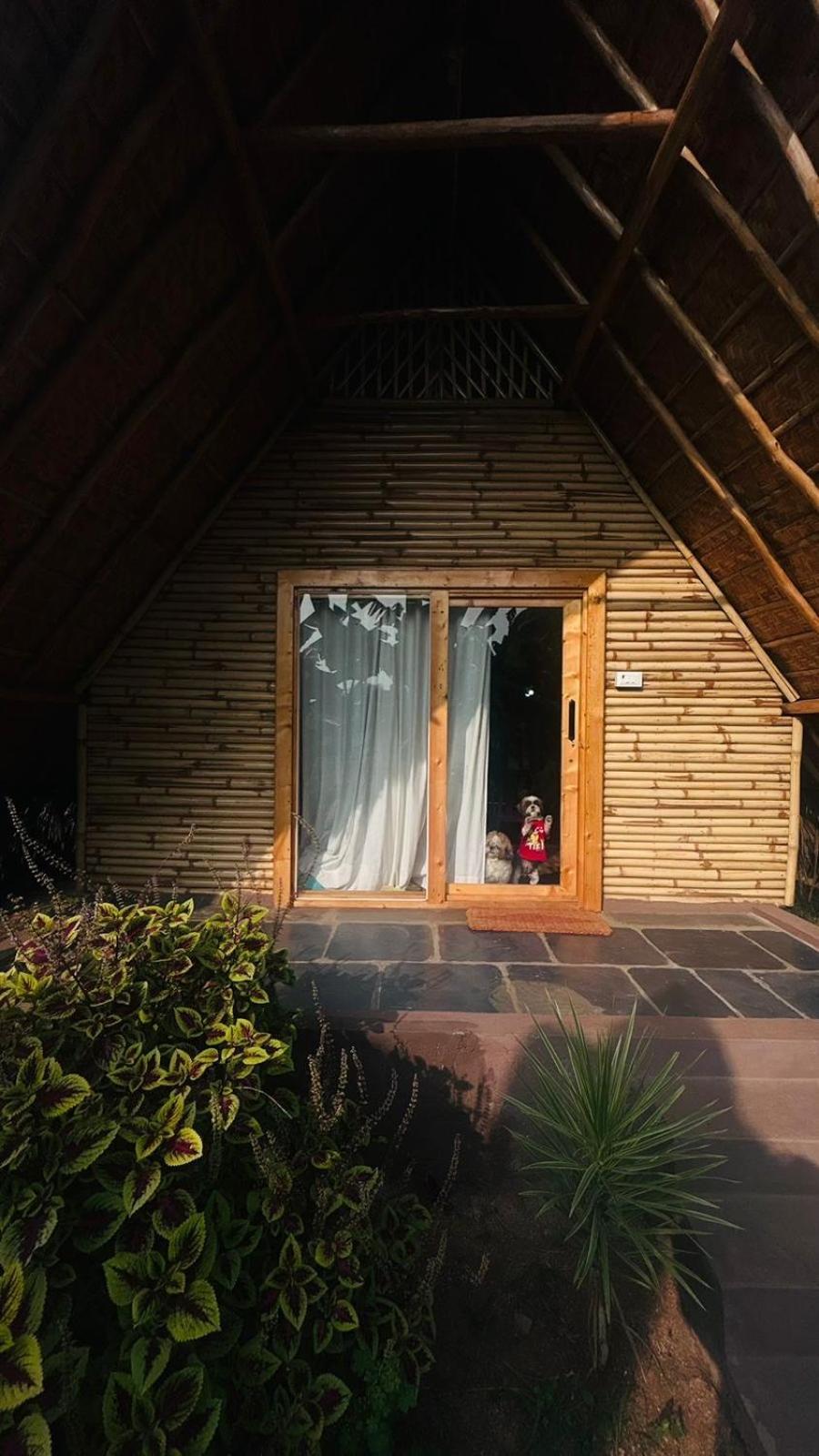 Hotel Tropical Hampi Zewnętrze zdjęcie